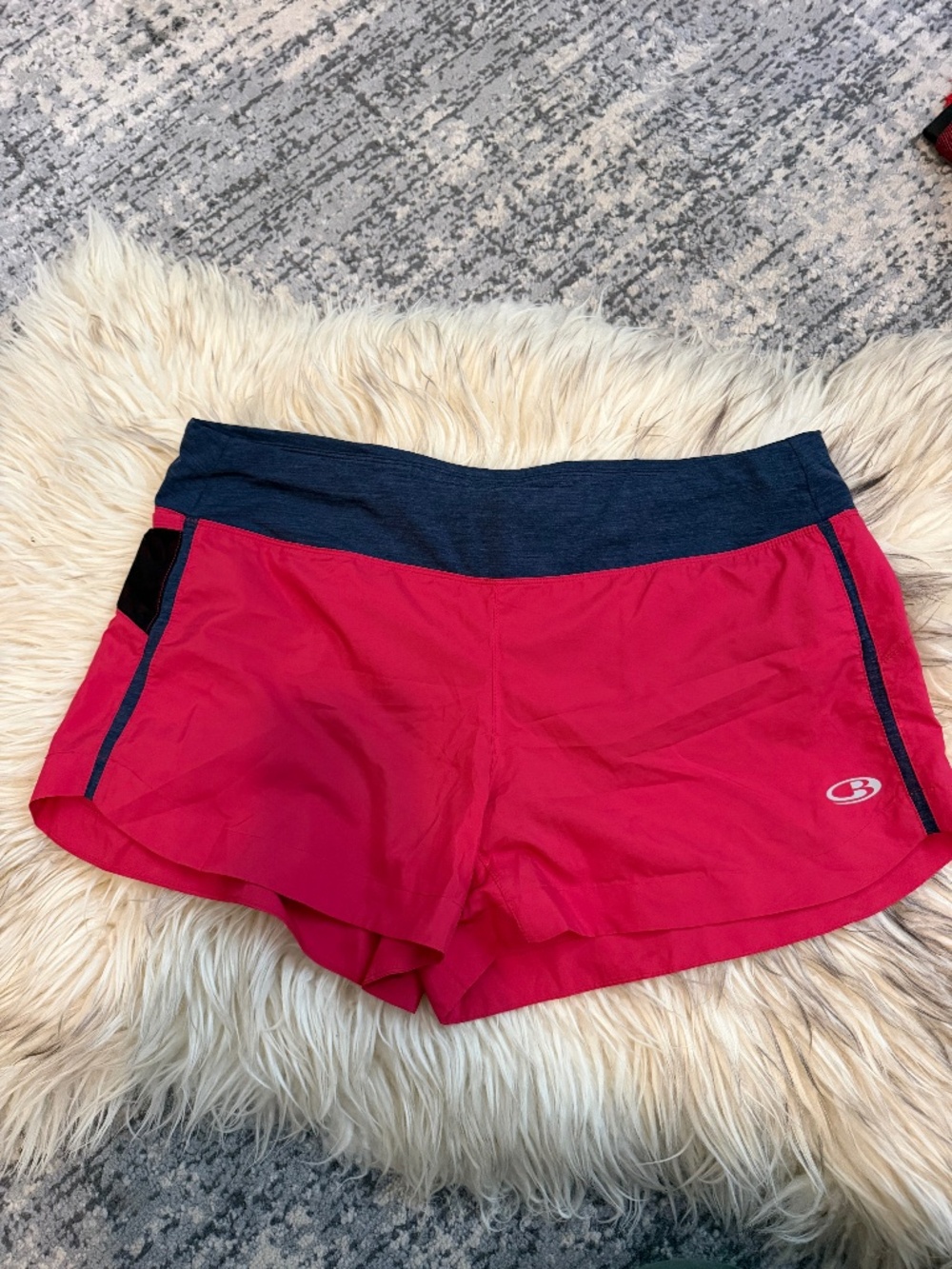 Icebreaker shorts
